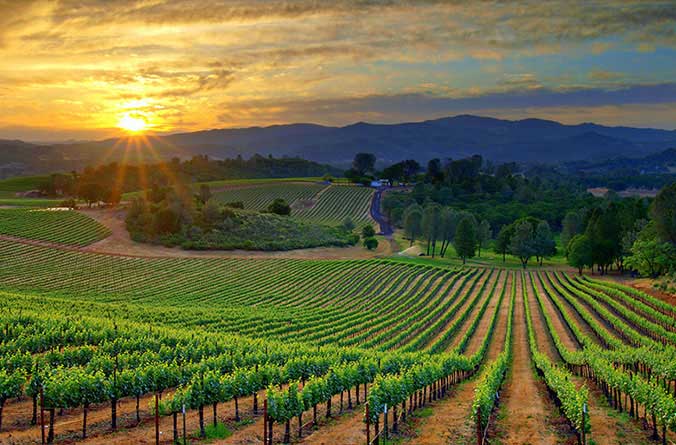 2016-07-19-1468911780-3714950-loudoncliffsresort.com_.winecountry.1